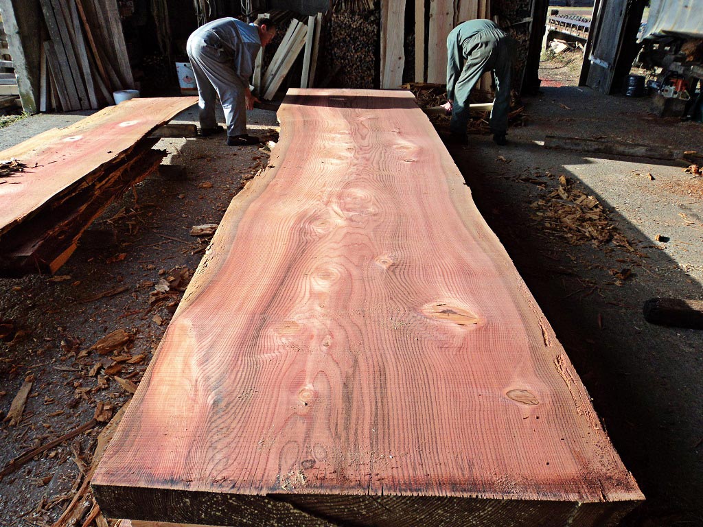 Sequoia 3 Sequoia 3